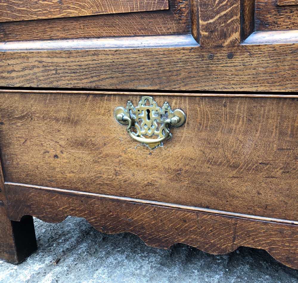 Antique Oak Mule Chest View XII