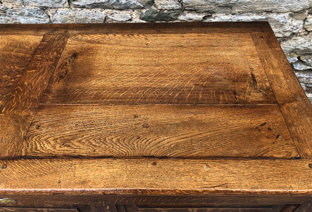 Antique Oak Mule Chest View XXIII