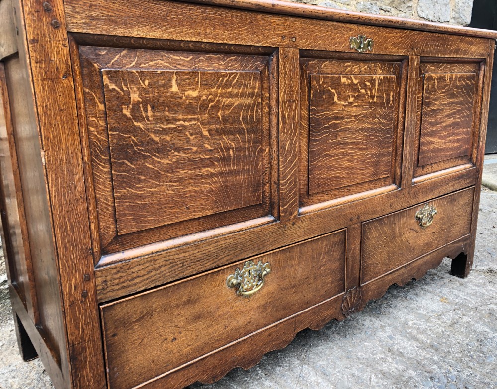 Antique Oak Mule Chest View XXVI
