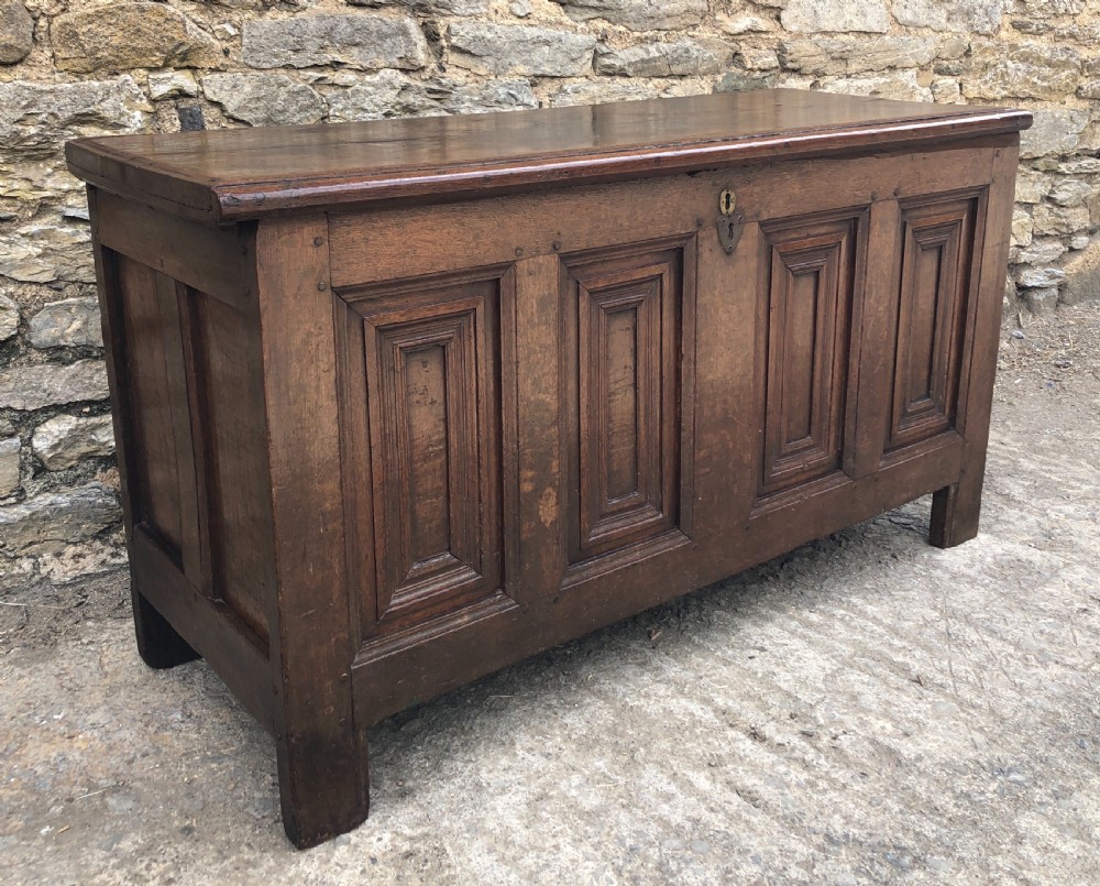 Antique 18th Century Oak Panelled Coffer View II