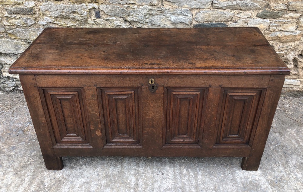 Antique 18th Century Oak Panelled Coffer View III