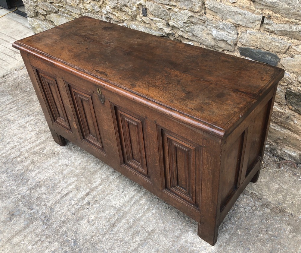 Antique 18th Century Oak Panelled Coffer View VI