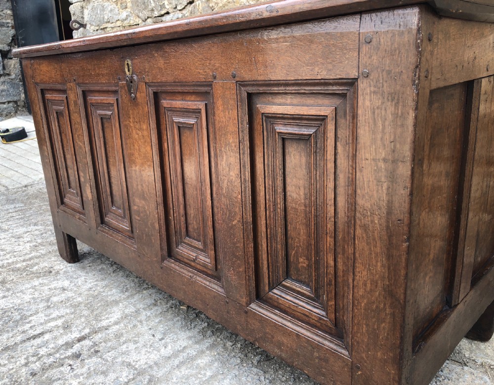 Antique 18th Century Oak Panelled Coffer View VII