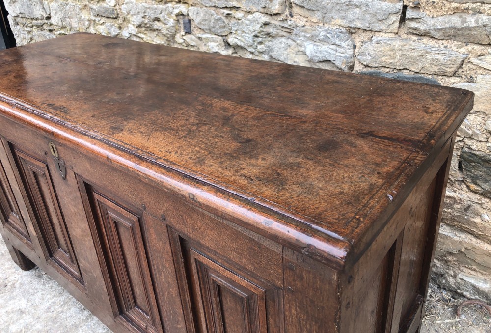 Antique 18th Century Oak Panelled Coffer View XXIII