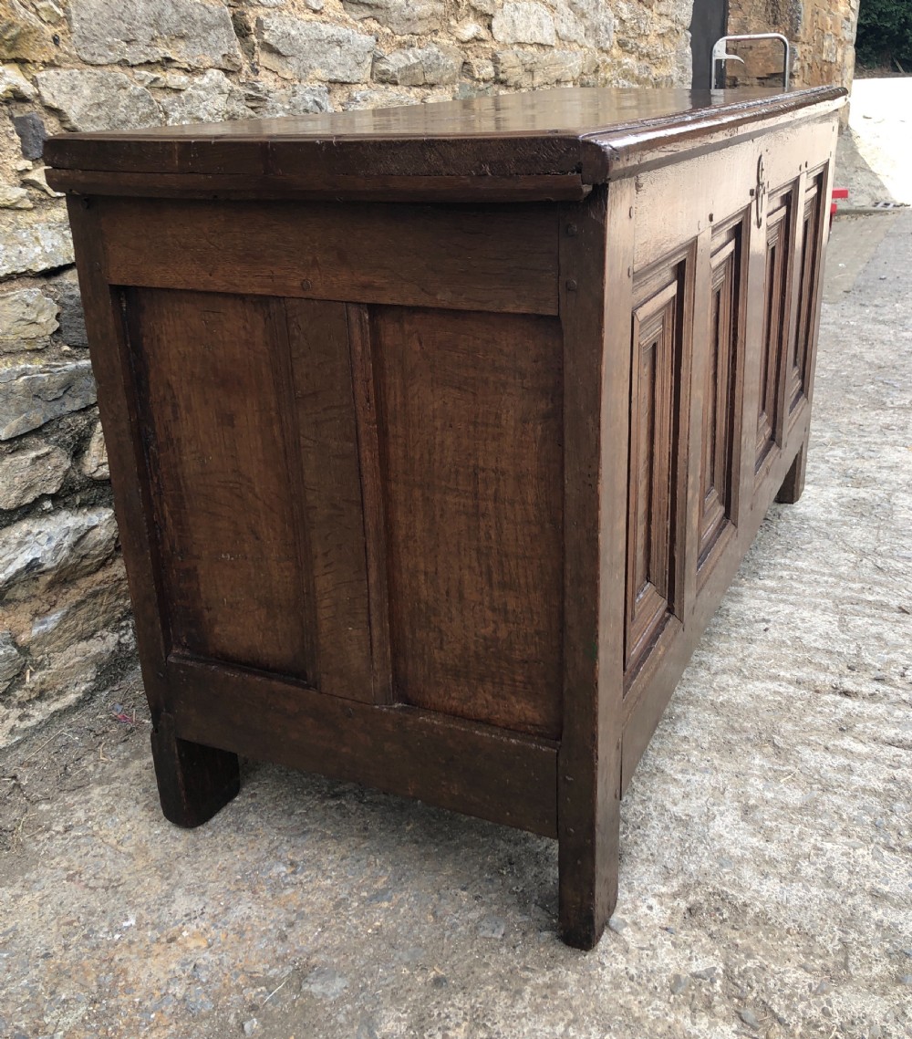 Antique 18th Century Oak Panelled Coffer View XXV