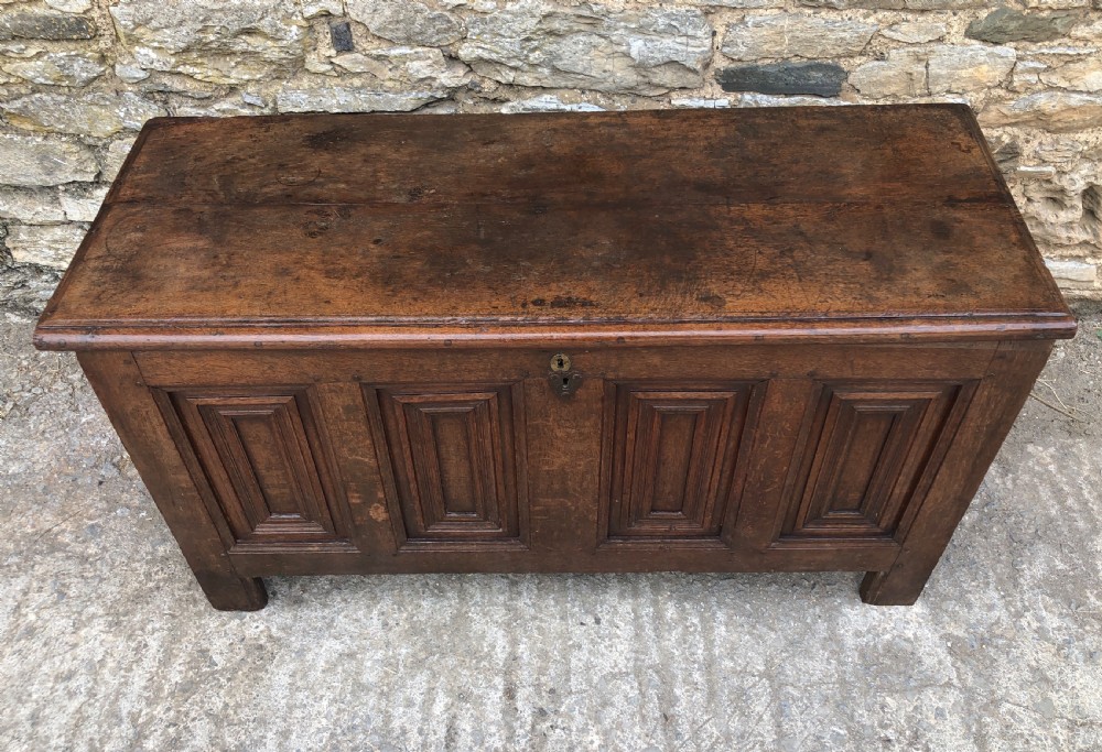 Antique 18th Century Oak Panelled Coffer View XXIX