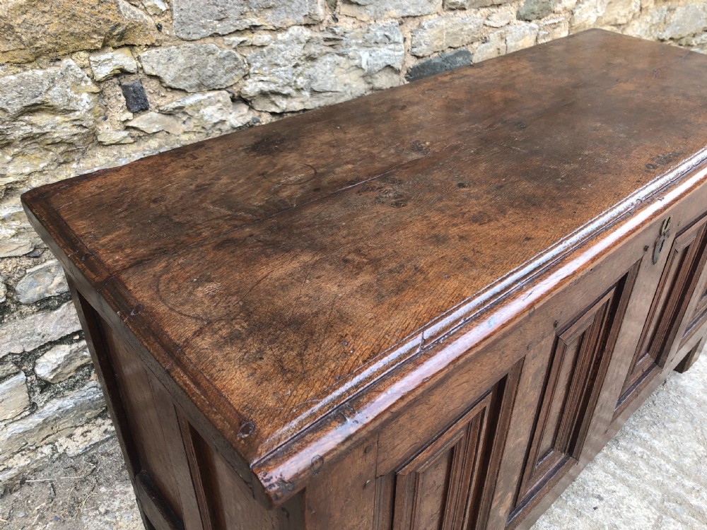 Antique 18th Century Oak Panelled Coffer View XXX