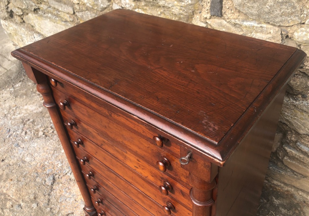 Large Antique Tabletop Wellington Collectors Specimen Chest View VIII