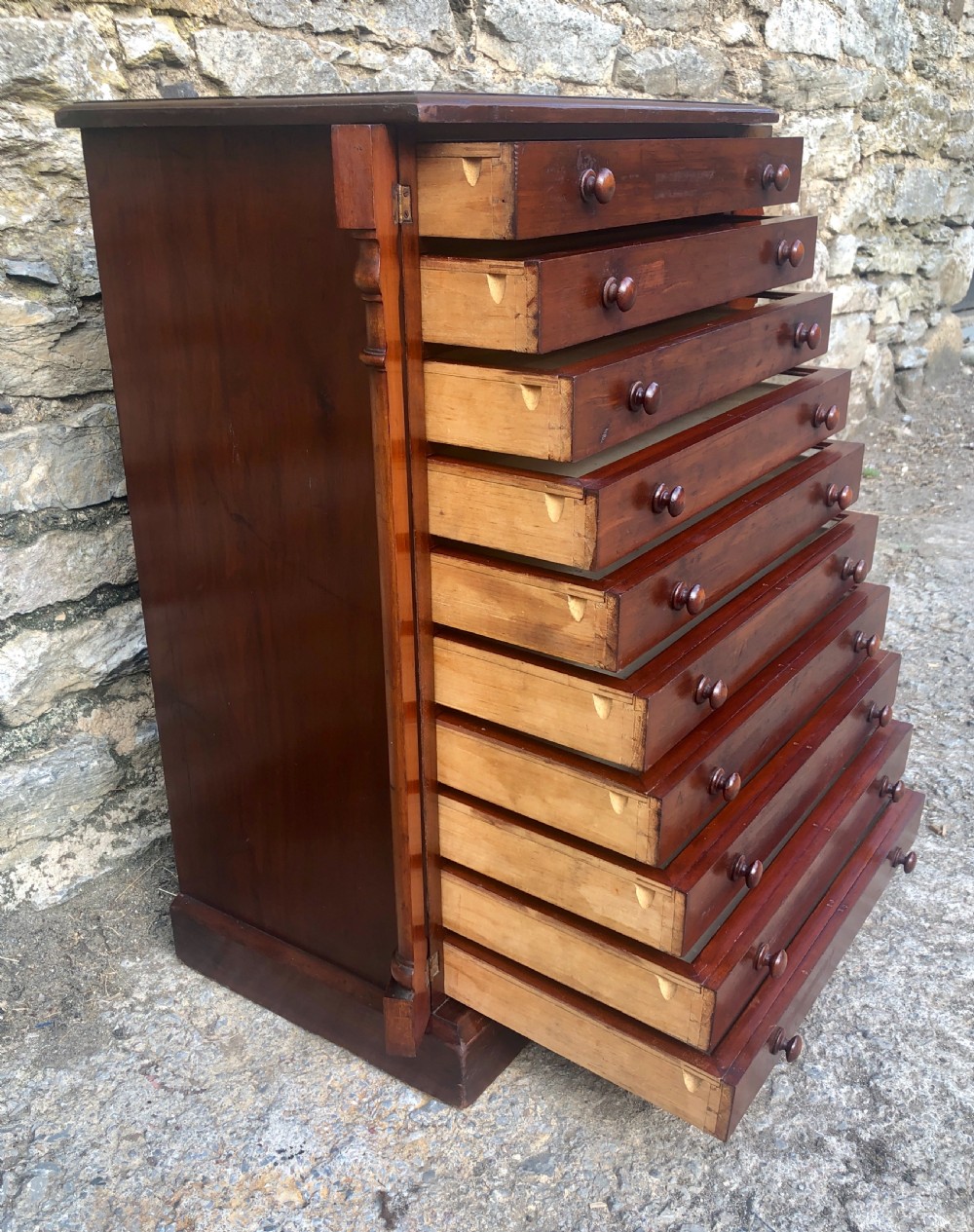 Large Antique Tabletop Wellington Collectors Specimen Chest View XI