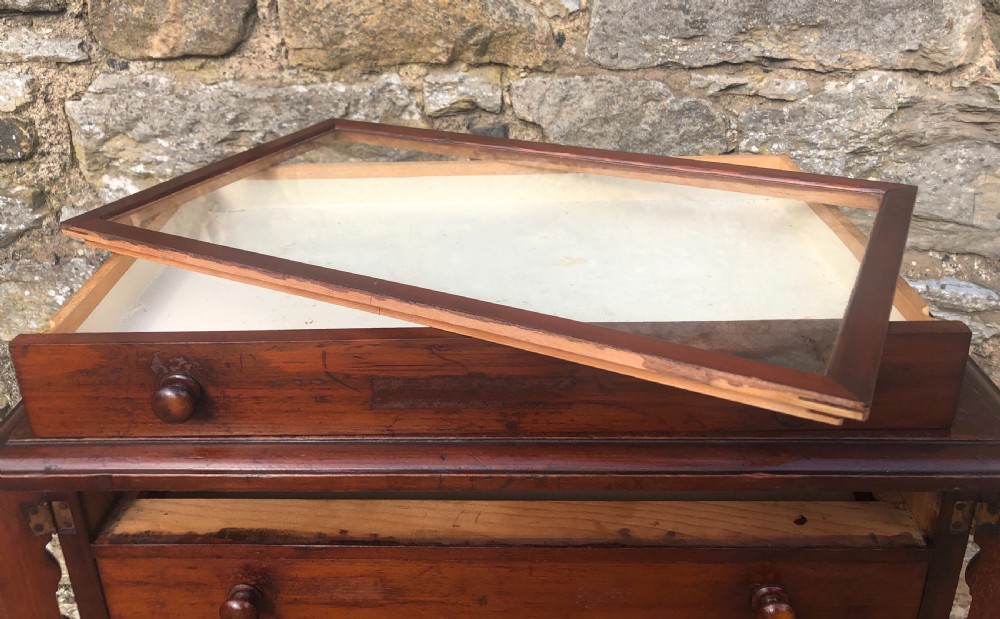 Large Antique Tabletop Wellington Collectors Specimen Chest View XIX