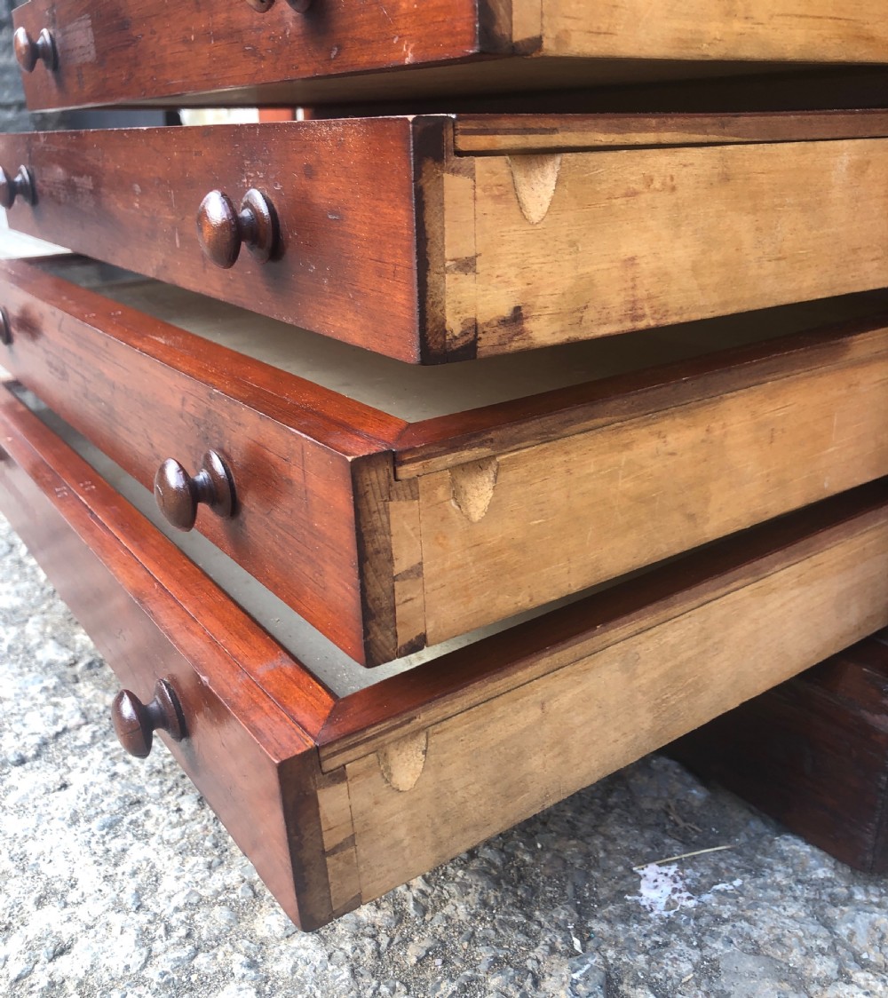 Large Antique Tabletop Wellington Collectors Specimen Chest View XXII