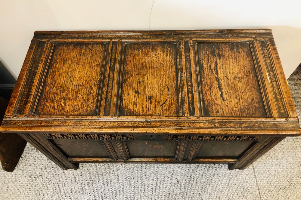 Antique 18th Century Oak Panelled Coffer View IV