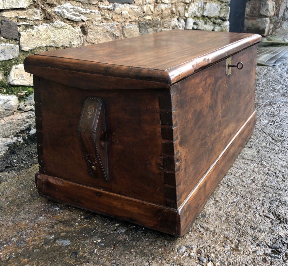 Antique Camphorwood Sea Chest View III