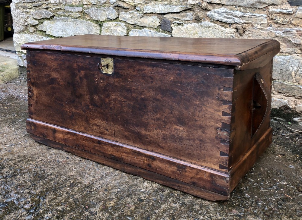 Antique Camphorwood Sea Chest View IV