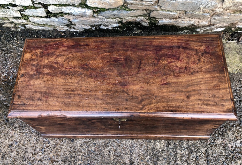 Antique Camphorwood Sea Chest View VI