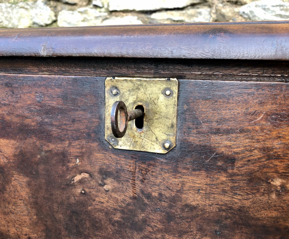 Antique Camphorwood Sea Chest View VIII