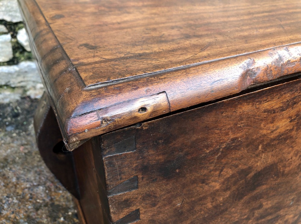 Antique Camphorwood Sea Chest View IX