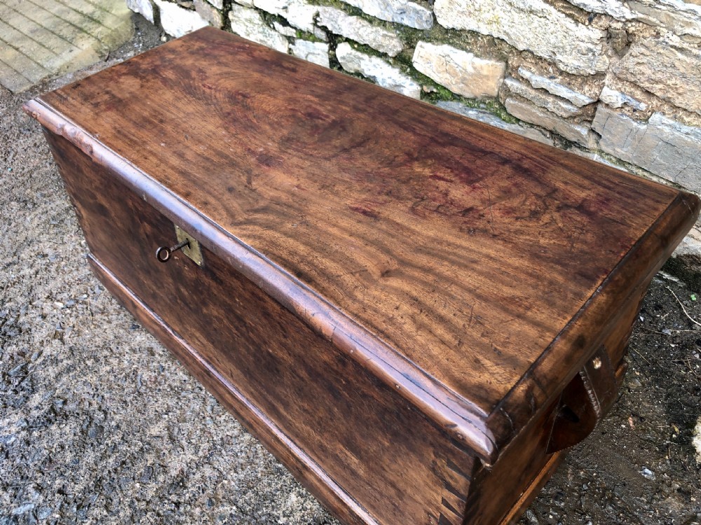 Antique Camphorwood Sea Chest View XII
