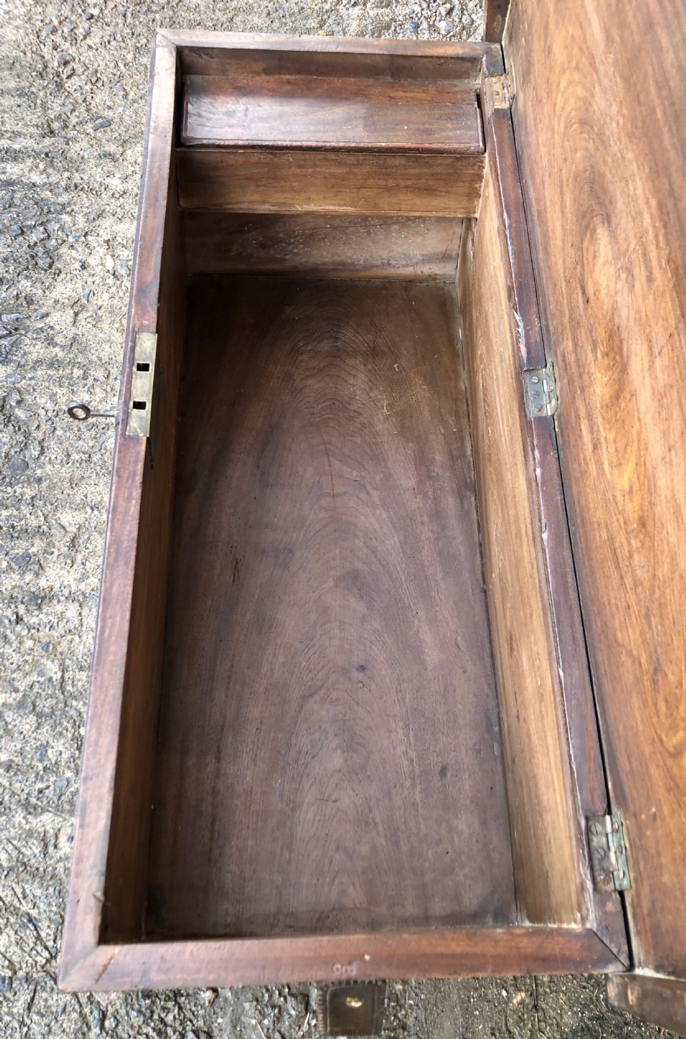 Antique Camphorwood Sea Chest View XIII