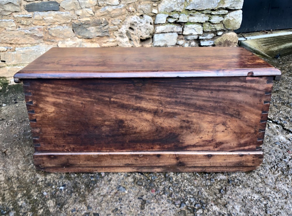 Antique Camphorwood Sea Chest View XIV