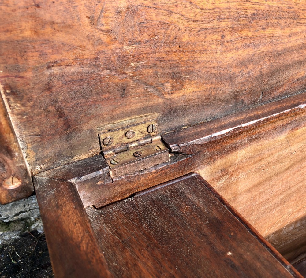 Antique Camphorwood Sea Chest View XVII