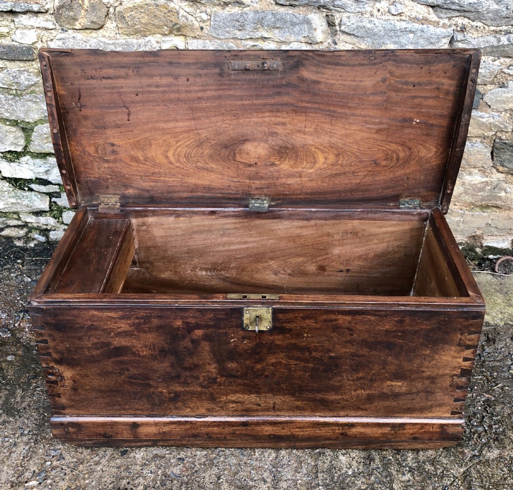 Antique Camphorwood Sea Chest View XVIII