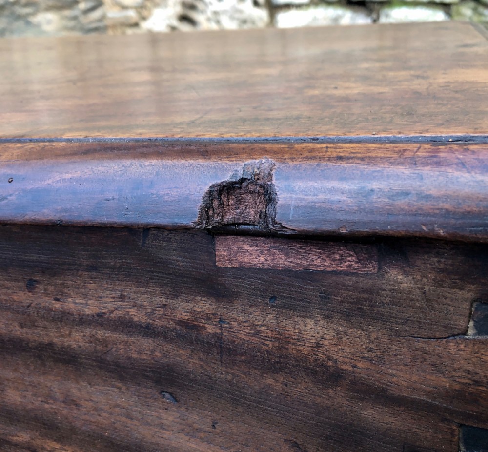 Antique Camphorwood Sea Chest View XIX