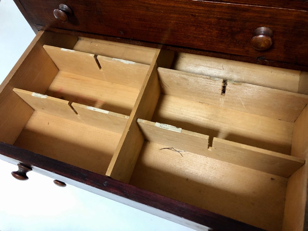 Antique Pine Tabletop Specimen Collectors Cabinet View IX