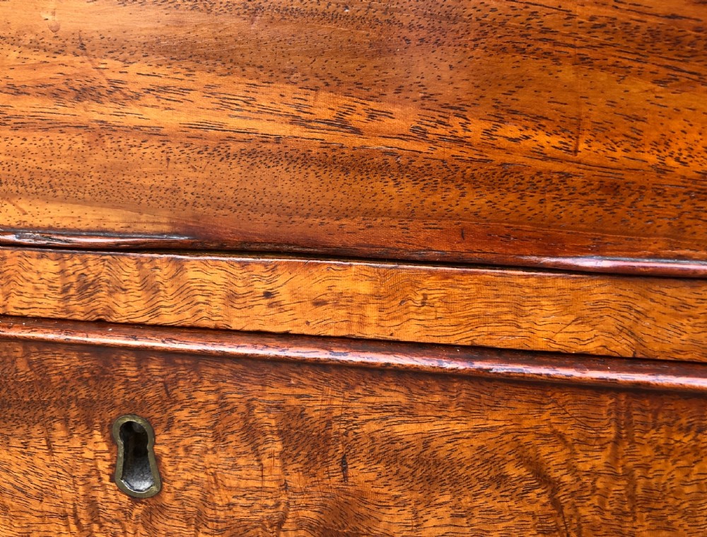 Regency Mahogany Chest of Drawers View XIII