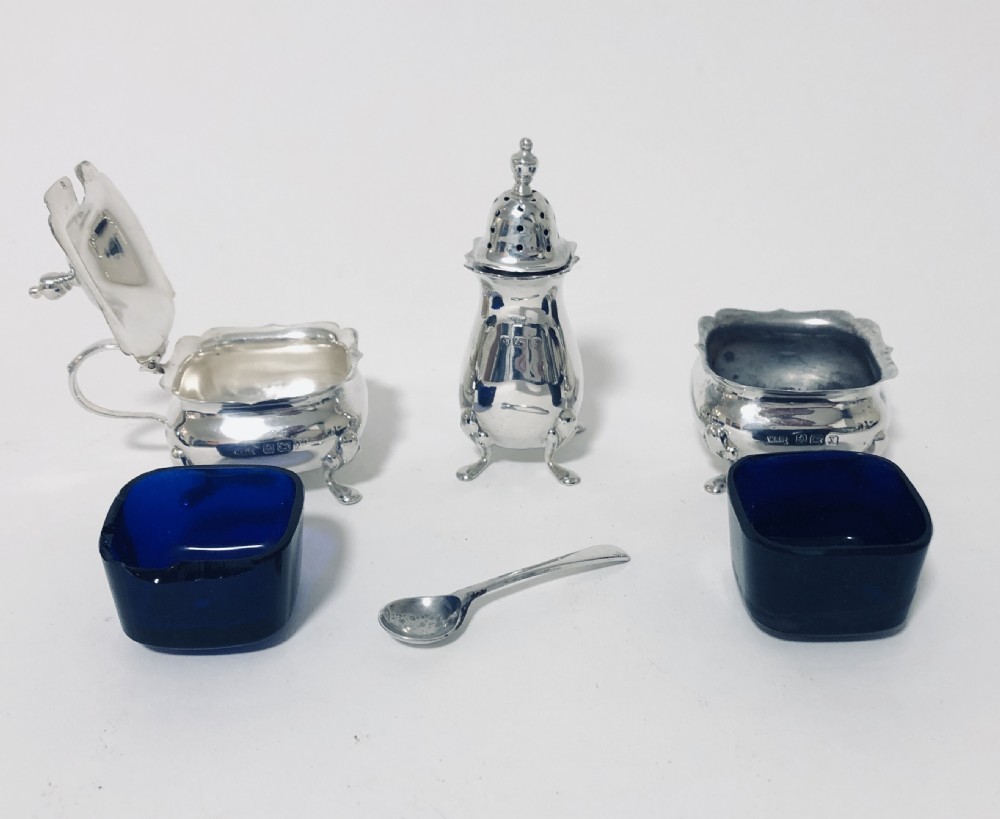 Antique Solid Sterling Silver Cruet Set in Case View VII