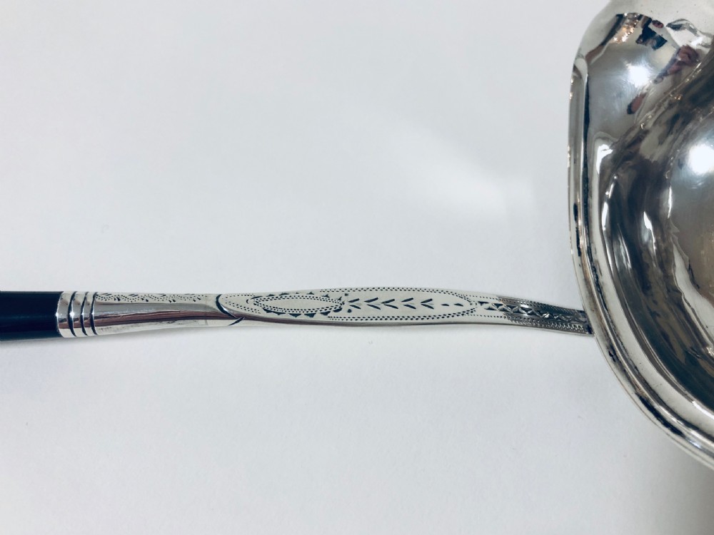 Georgian Solid Silver Toddy Ladle View IX