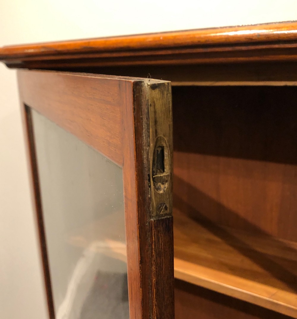 Narrow Antique Mahogany Display Cabinet View VIII