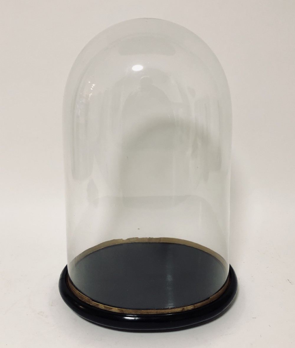 Large Antique Glass Display Dome