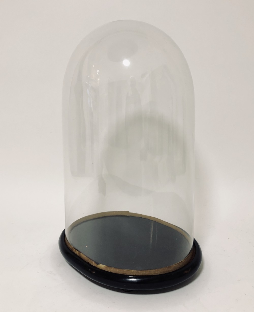 Large Antique Glass Display Dome View III