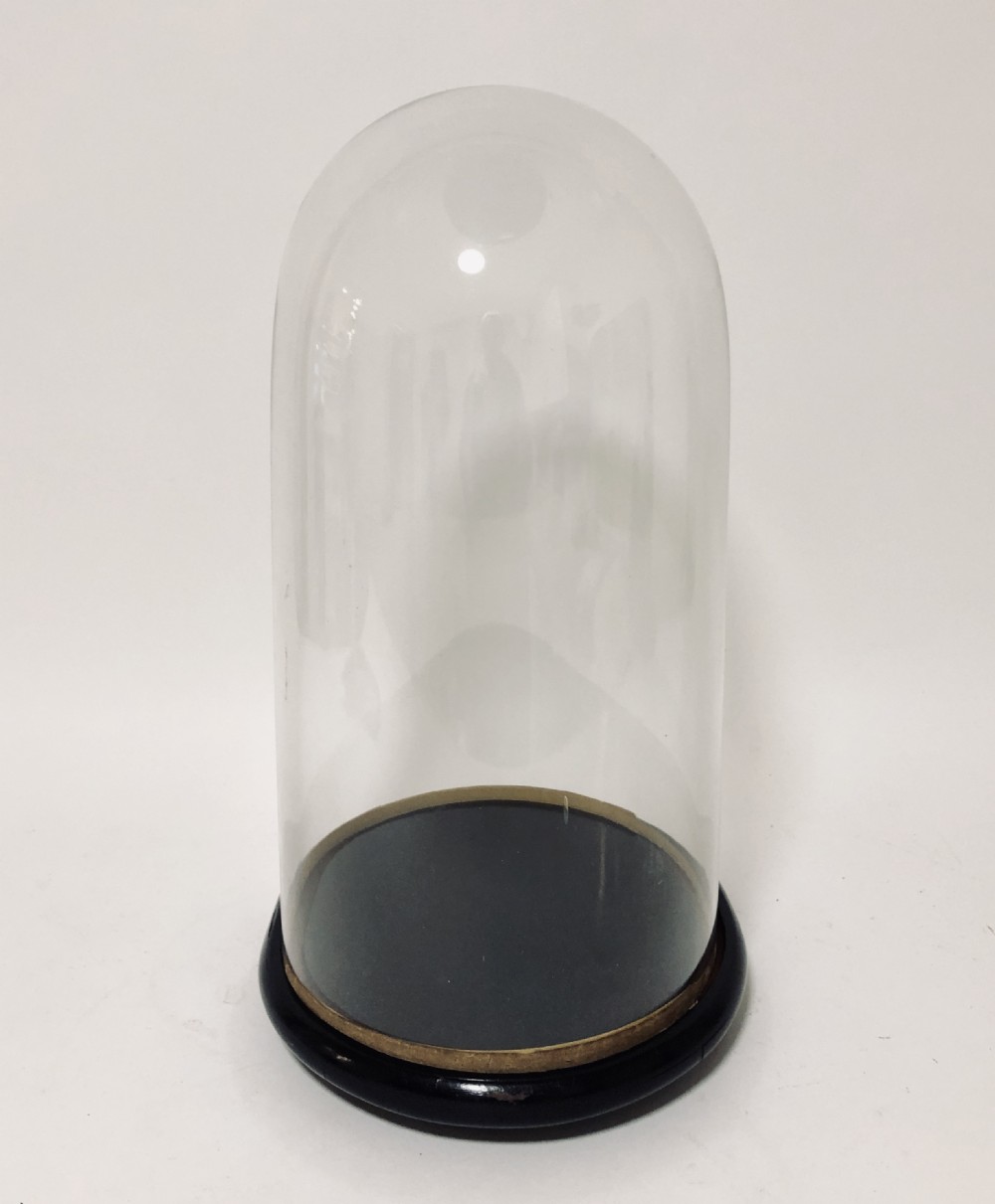 Large Antique Glass Display Dome View IV
