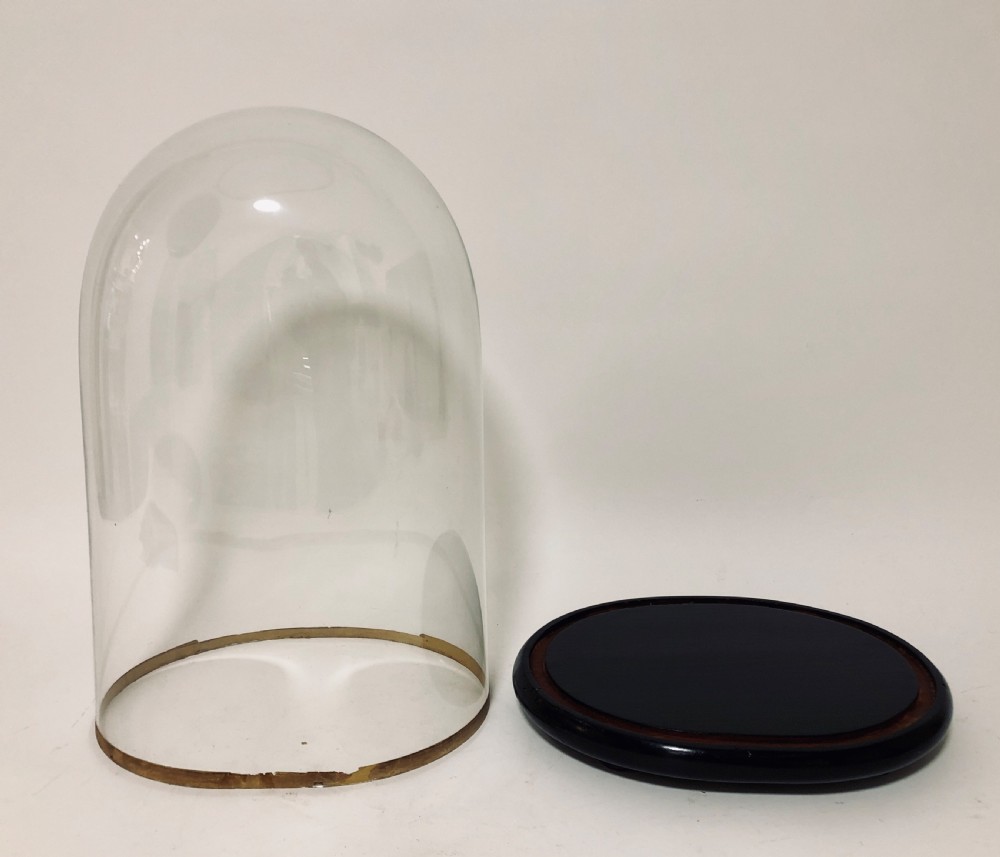 Large Antique Glass Display Dome View V