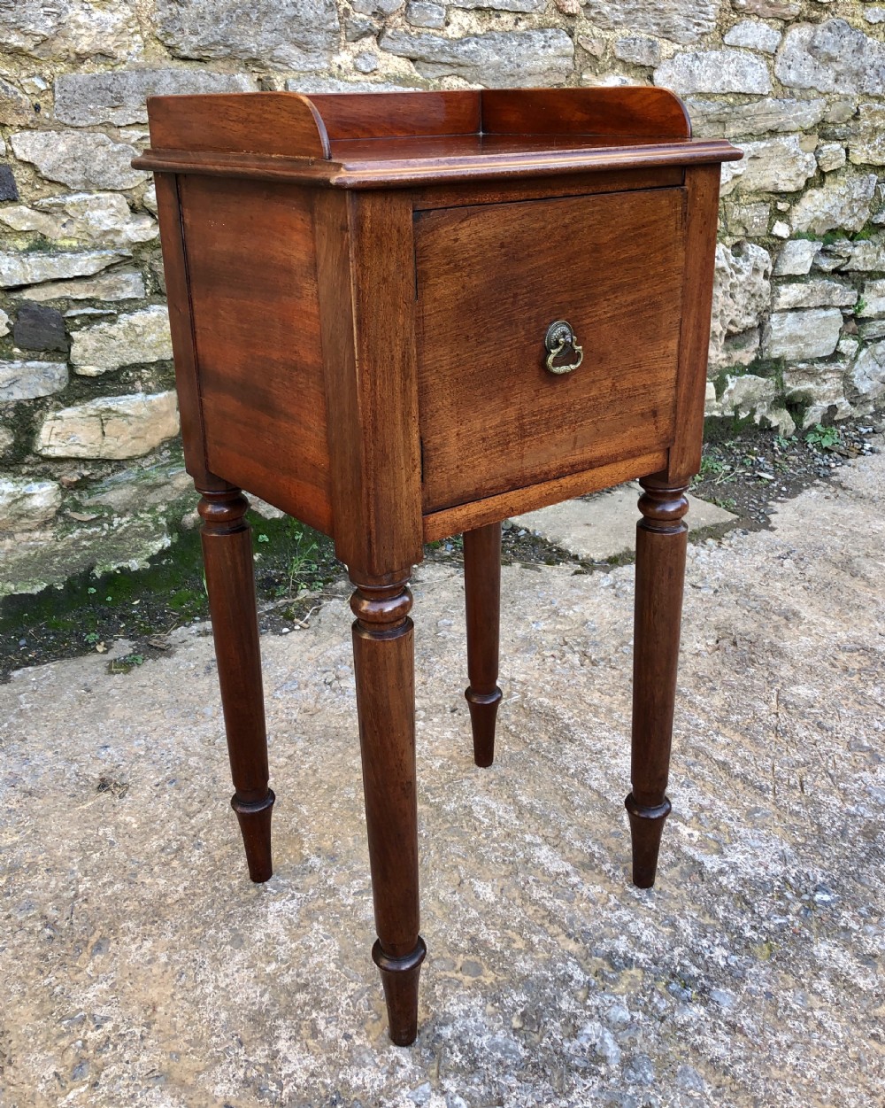 Early Victorian Mahogany Bedside Pot Cupboard View II