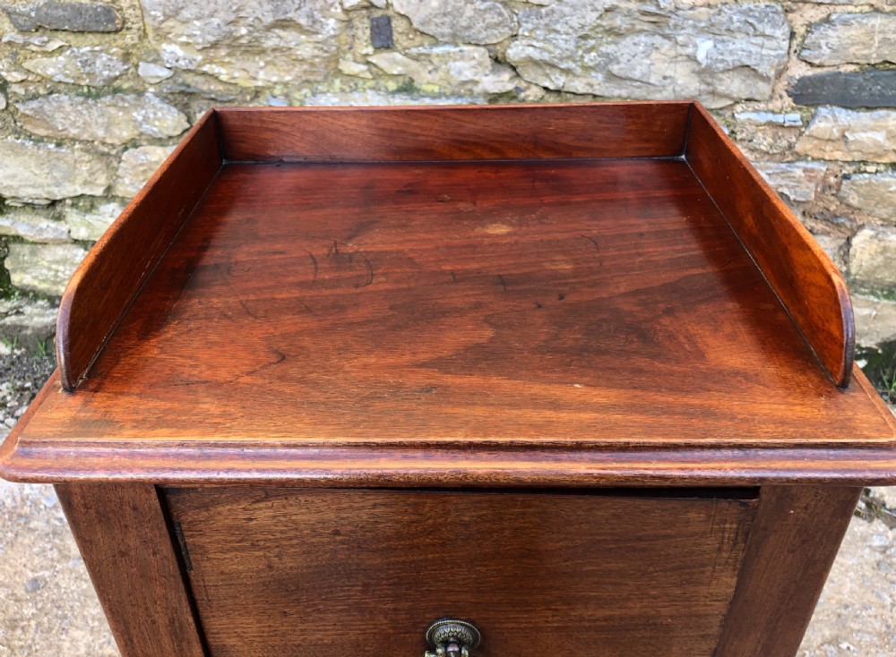 Early Victorian Mahogany Bedside Pot Cupboard View III