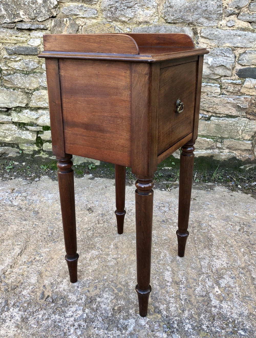 Early Victorian Mahogany Bedside Pot Cupboard View VIII