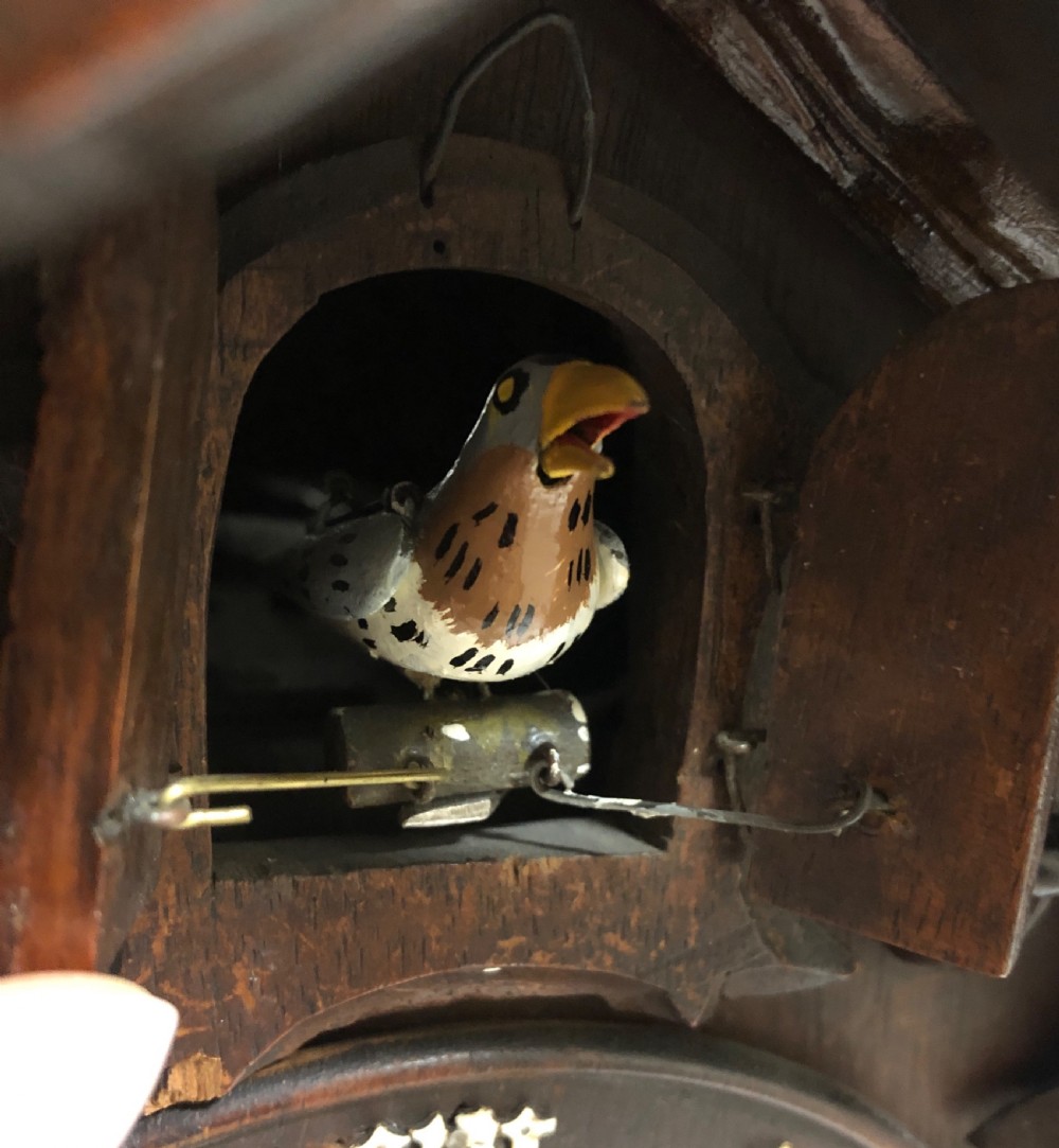 Antique Black Forest Cuckoo Clock View XVII