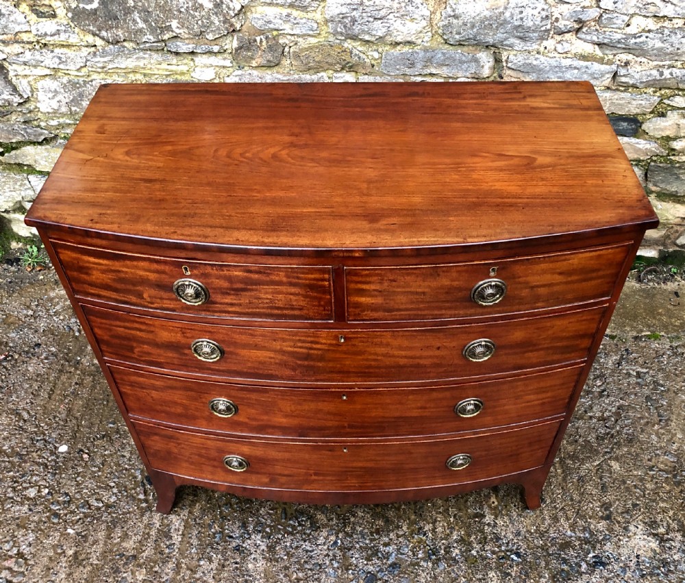 Regency Mahogany Bow Front Chest of Drawers View VIII