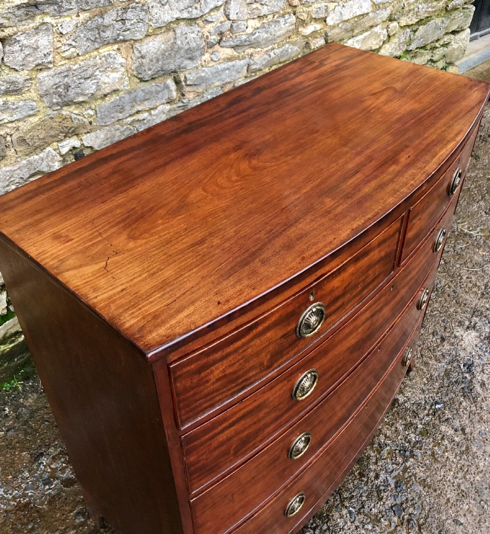 Regency Mahogany Bow Front Chest of Drawers View XIV