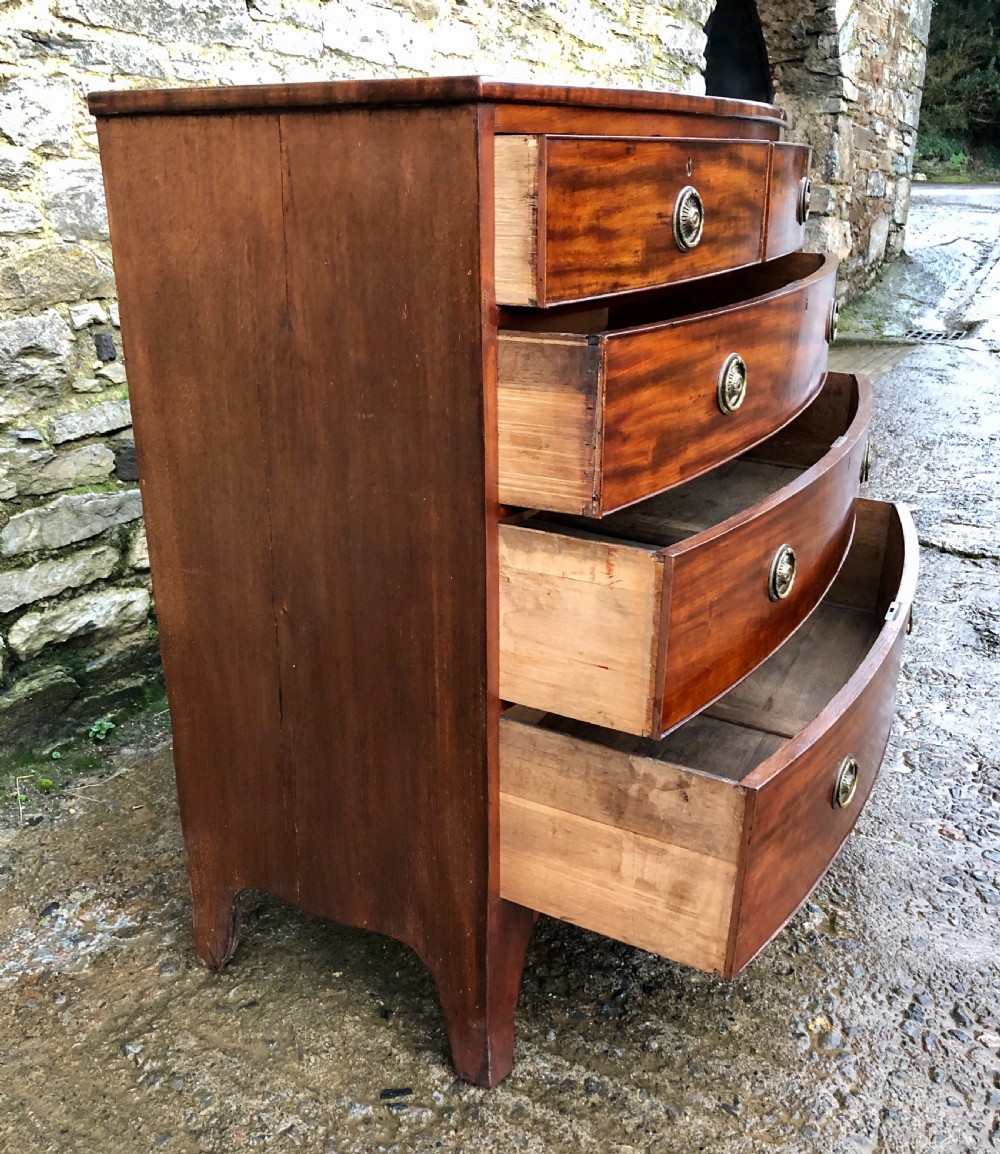 Regency Mahogany Bow Front Chest of Drawers View XIX