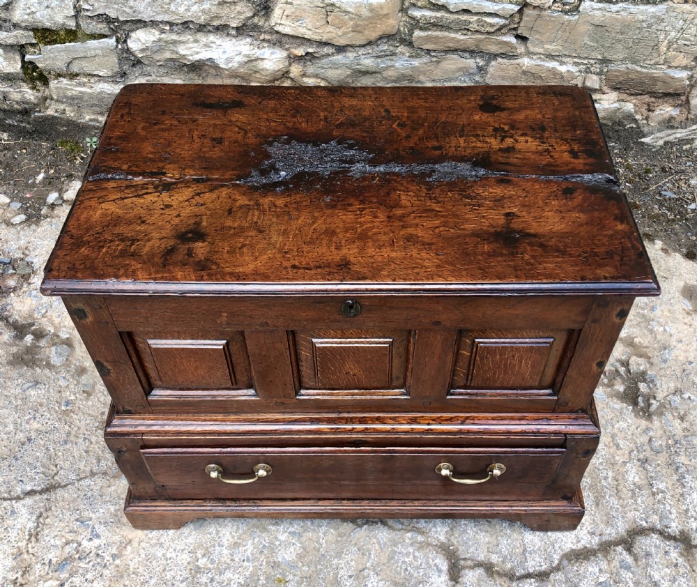 18th Century Welsh Oak Coffer Bach View V