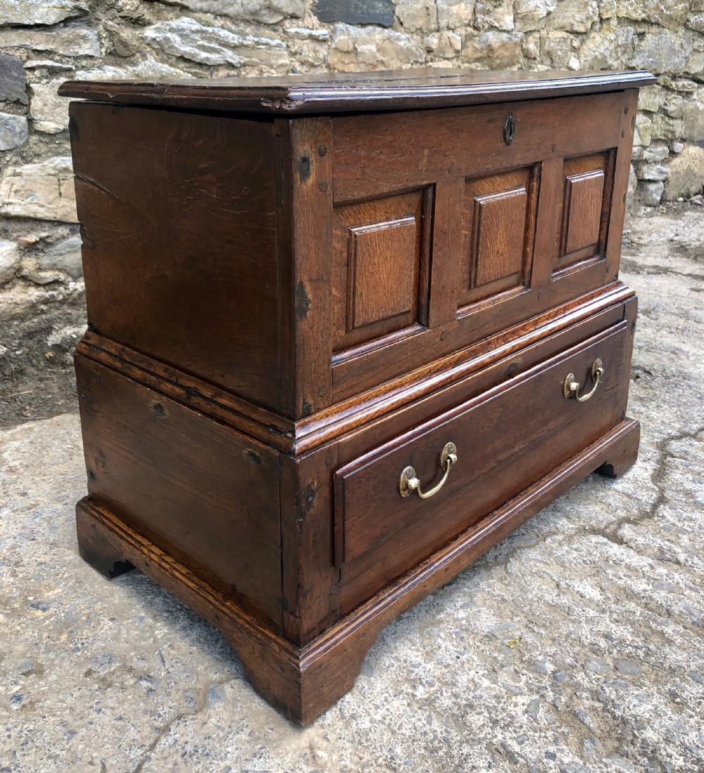 18th Century Welsh Oak Coffer Bach View VI