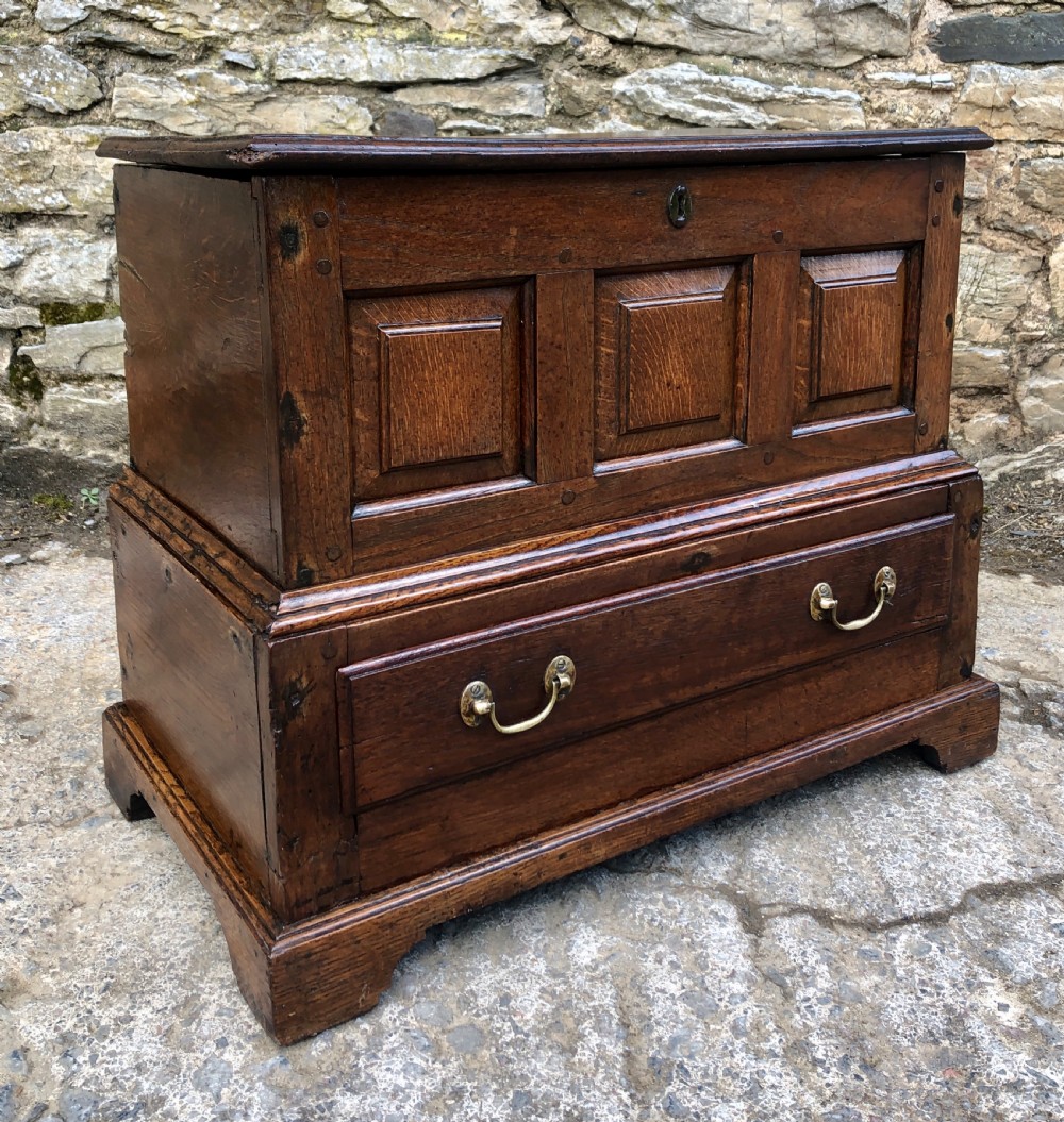 18th Century Welsh Oak Coffer Bach View XVIII