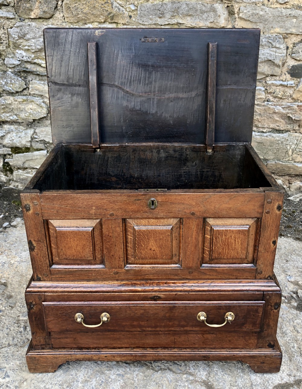 18th Century Welsh Oak Coffer Bach View XXI