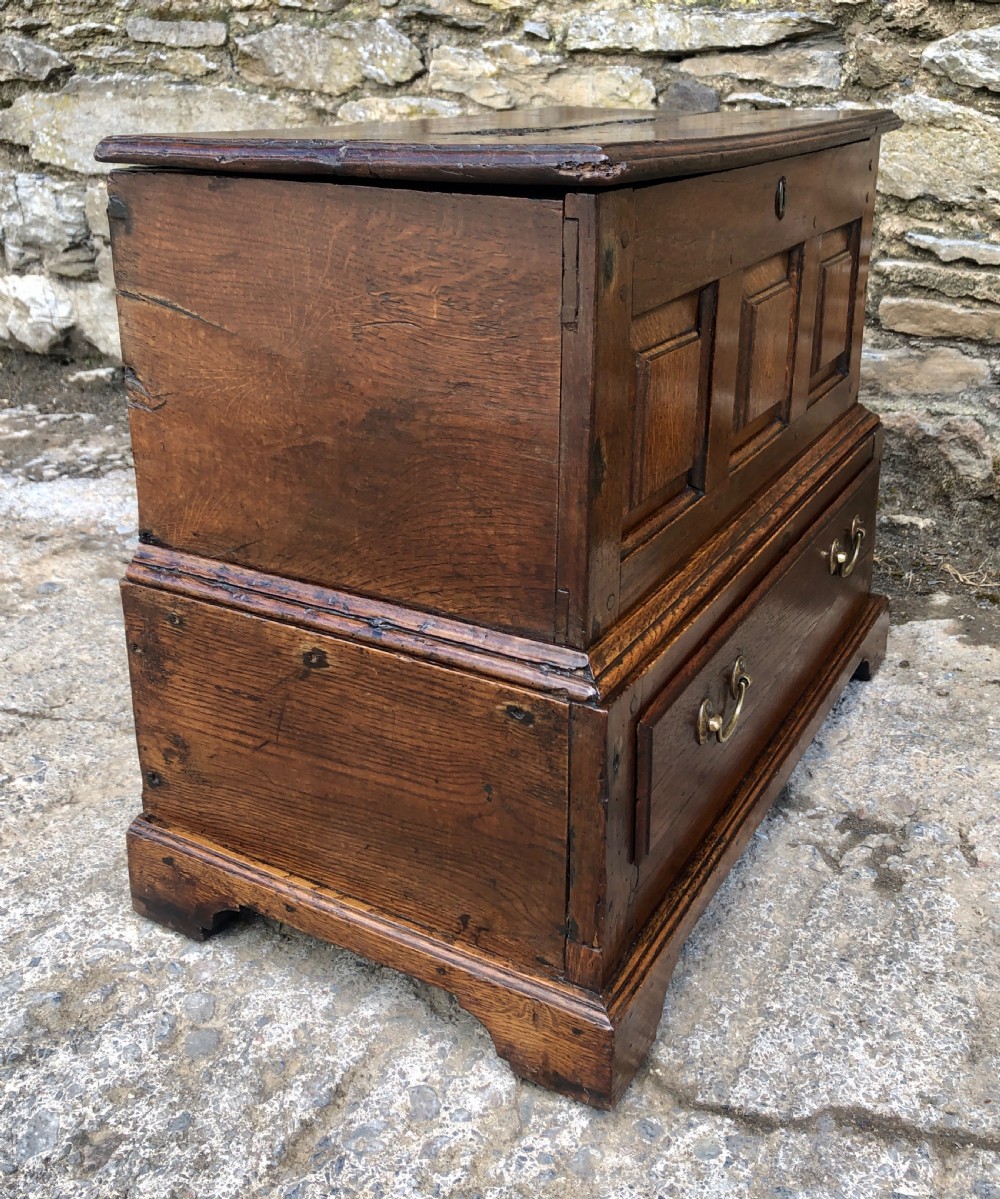 18th Century Welsh Oak Coffer Bach View XXV