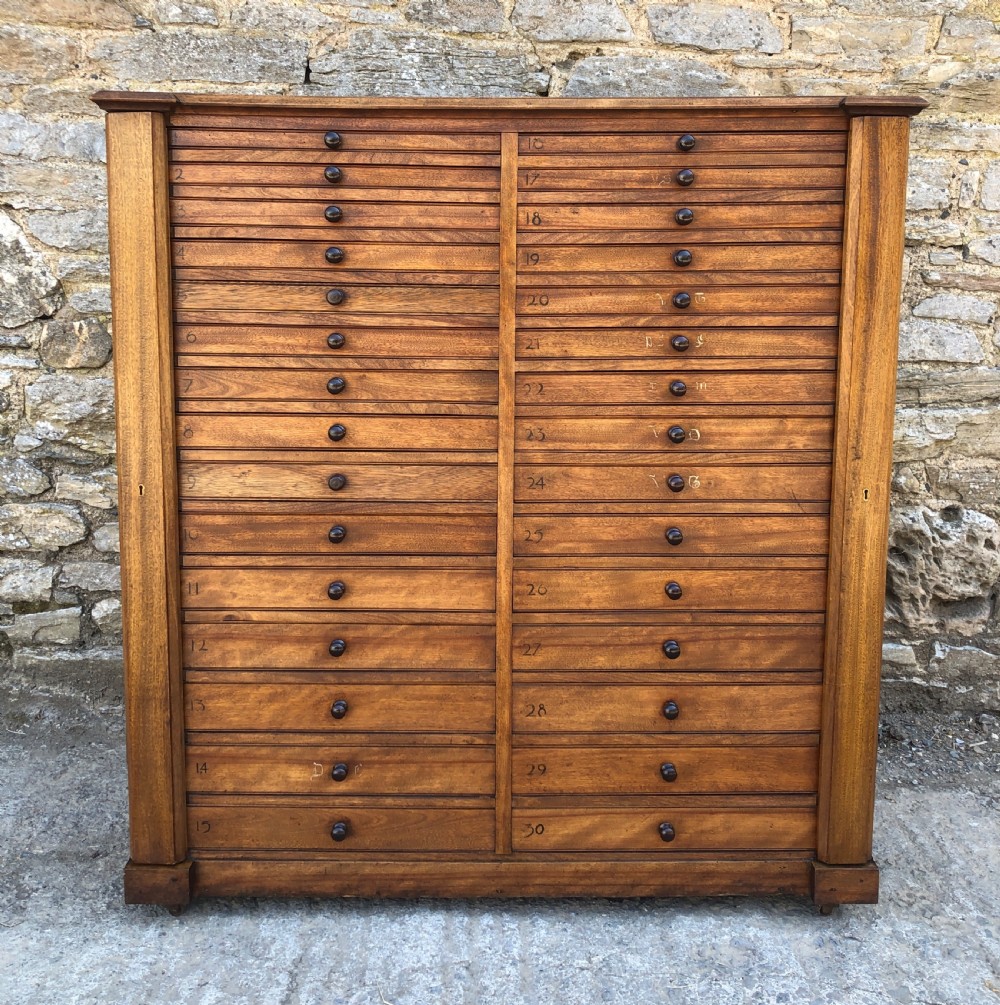 Large Antique 30 Drawer Specimen Cabinet