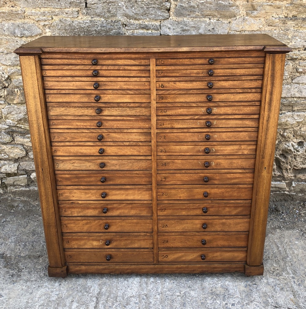 Large Antique 30 Drawer Specimen Cabinet View II